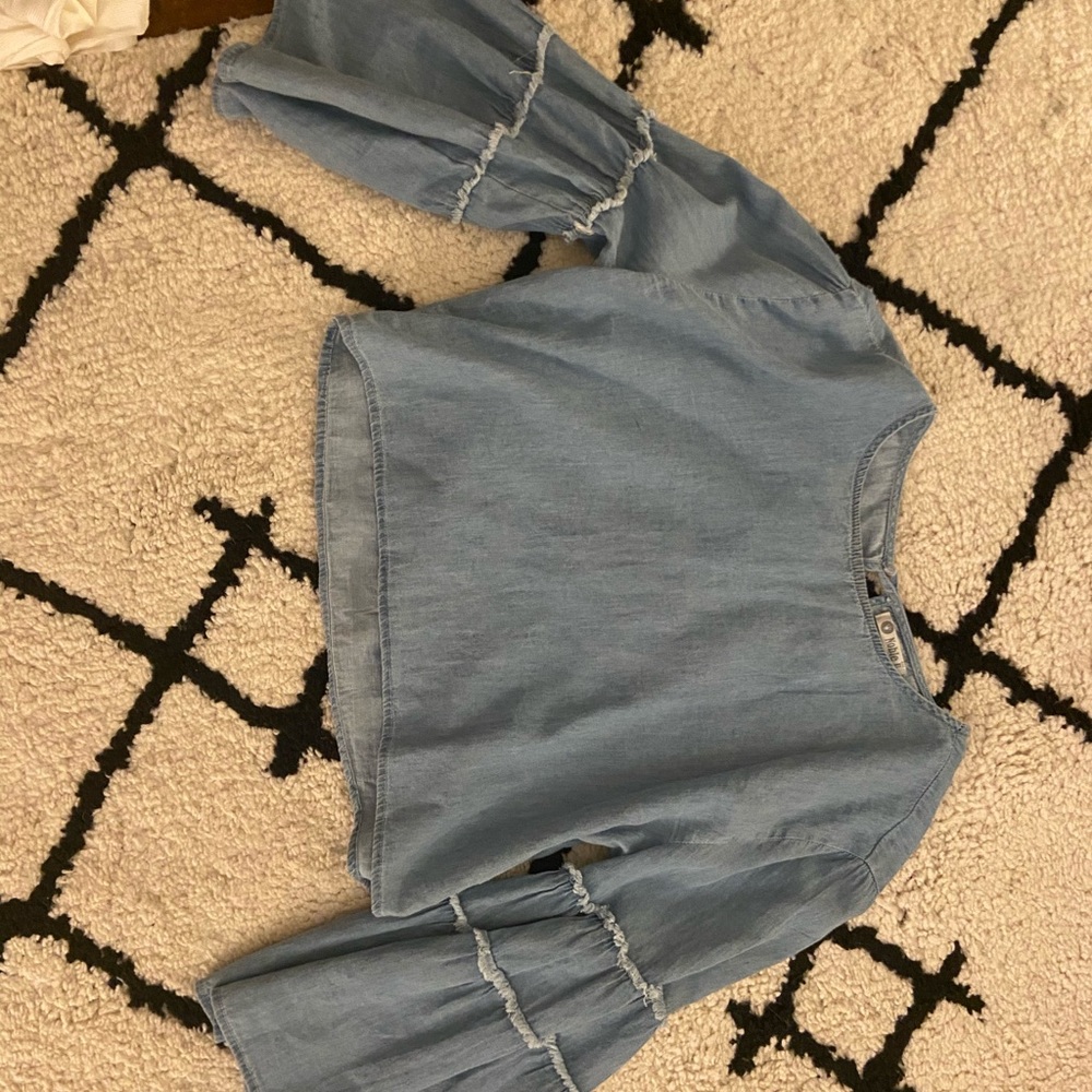 blue big sleeve crop